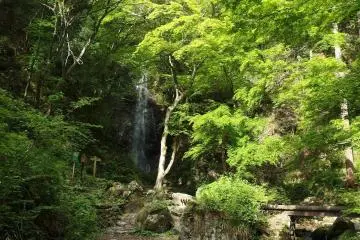 The falls are surrounded by greenery in the summertime (Photo: <a href="https://www.flickr.com/photos/o_0/14179847163/" target="_blank" rel="noreferrer noopener nofollow">Guilhem Vellut</a> / <a href="https://creativecommons.org/licenses/by/2.0/" target="_blank" rel="noreferrer noopener nofollow">CC BY 2.0</a>)