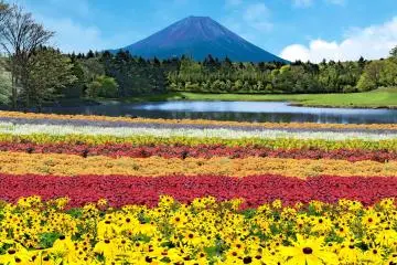 Photo: <a href="https://prtimes.jp/main/html/rd/p/000001316.000001110.html?fbclid=IwAR1RKKVpPfWymPid8y13kpi1kyDLFVCR7Qz9kP-M7sHmZ7IRv55fTSNIOho" target="_blank" rel="noreferrer noopener nofollow">Fuji Kyuko</a>
