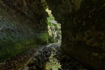 Be sure to bring your camera (Photo: Takuya Hosogi)