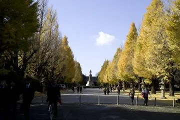 Yasukuni Shrine (Photo: <a href="https://flickr.com/photos/skrb/4212561838/in/photolist-7er7So-5KvgCk-7qbzdg-7qfukW-7qftSw-7qfubb-7qbzhv" target="_blank" rel="noreferrer noopener nofollow">Yuichi Sakuraba</a> / <a href="https://creativecommons.org/licenses/by-nc/2.0/" target="_blank" rel="noreferrer noopener nofollow">CC BY-NC 2.0</a>)