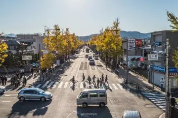 Koshu Kaido Avenue is lined with ginkgos (Photo: <a href="https://flickr.com/photos/ginomempin/44520924920/in/photolist-2k5K1rm-ShrEqW-Sm3dBT-TnxEKa-Sm31vD-Tm7ysY-TwhS9d-SiojC9-Tm7upY-SiobYw-SZWnVU-Tm7iK1-SZWDGy-Tm7x4q-Tm7vgs-Totkva-Sio9wY-SZX1Cm-V8NSdx-RsTEnu-2aQaoNU-2aQaoaQ-2aQanTN-2aQajQd-2dwfxJ5-UxEij1-2hZ8178-72d1t2-Siohao-TwhCHf-47cjk2-Tm71vw-8SjBs1-Sm2P1z-Sm2WpH-Tm7vP1-4Uckv4-52KBNh-4UckjB-Tm7rVQ-SZX3zY-SioeBC-2hZbAS3-Tm7795-TzV2Up-2hZ7YQ5-SZWmHU-TwhgUb-2hZbBjR-52KBxA" target="_blank" rel="noreferrer noopener nofollow">ginomempin</a> / <a href="https://creativecommons.org/licenses/by-nd/2.0/" target="_blank" rel="noreferrer noopener nofollow">CC BY-ND 2.0</a>)