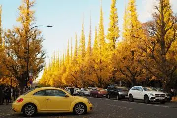 Photo: <a href="https://flickr.com/photos/148813470@N04/50770273091/in/photolist-2kmoVo4-2kmoVp6-8ZY2u8-pMfJ2m-4aojkT-q9AsUC-2d55k6D-pGUkTi-uykNH-2hSQ1J4-dzXNkc-PvcQkn-AYDVyz-4aQTDF-hZqBu5-utxFw-BAtBw4-2jBBvAw-aRpVwH-p14uF1-BbDgg1-5EtxvV-cKxx8-hM6vkQ-2bSiA86-qnj4nj-m99b-hdDEVN-2jUh9eR-5Bxpf5-NkFPrB-dAGAmF-2k7Dus8-NkFNT2-B7VrFY-pMV2Ew-dBfhy7-2kmoWZ5-p3wg45-PvTL6Q-PvTKWm-PvTKBU-2auk1Pd-2k9asjt-Pz29Ck-PvTHNo-BQPzWK-5BxpqC-9iCNAe-2dgjH1H" target="_blank" rel="noreferrer noopener nofollow">jamessharpe2</a> / <a href="https://creativecommons.org/licenses/by-nc-nd/2.0/" target="_blank" rel="noreferrer noopener nofollow">CC BY-NC-ND 2.0</a>