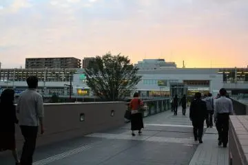 Gallery image