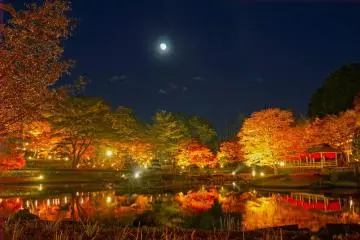 Shuzenji Niji no Sato Autumn Light Up 2026