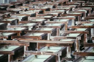 The Healing Heat of Kusatsu
