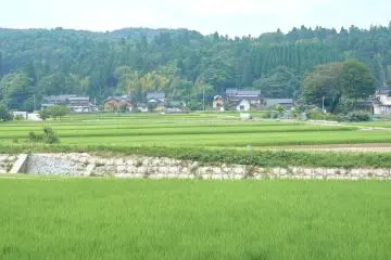 Onomi Village