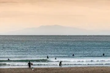 Even though it is winter, I could still see many surfers
