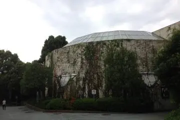 Gallery image