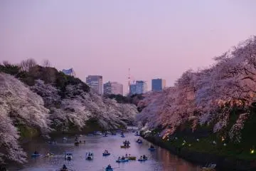 Photo: <a href="https://unsplash.com/photos/824OwkP7sgk" target="_blank" rel="noreferrer noopener nofollow">Yu Kato</a> / Unsplash