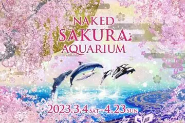 Naked Sakura Aquarium 2025