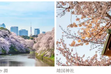 Photo: <a href="https://prtimes.jp/main/html/rd/p/000000063.000067866.html" target="_blank" rel="noreferrer noopener nofollow">Upstar Co., Ltd.</a>