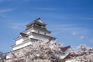 Tsuruga Castle Cherry Blossom Festival 2026