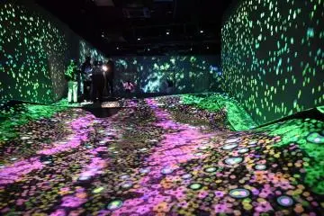 Gallery image