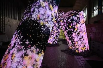 teamLab Ruins and Heritage