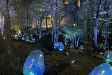 Musashino Woods Park