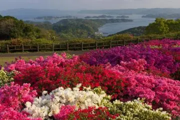 Nagushiyama Azalea Festival 2026