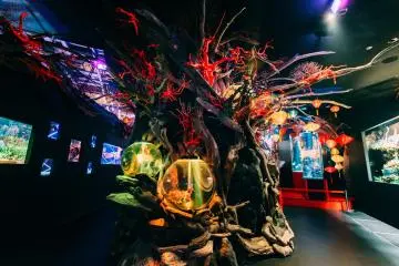 Photo: <a href="https://prtimes.jp/main/html/rd/p/000000065.000070875.html" target="_blank" rel="noreferrer noopener nofollow">UWS ENTERTAINMENT Co., Ltd.</a>