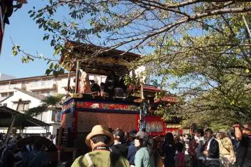 Gallery image