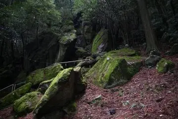 Gallery image