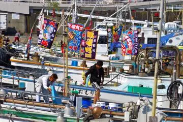 Odawara Fish Festival 2026