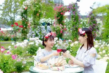 Early Summer Wine Festival 2023