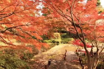 Photo: courtesy of Gotenyama Garden