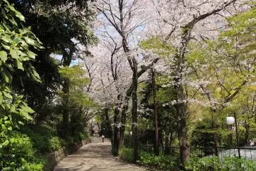 From the west side (Photo: courtesy of Gotenyama Garden)