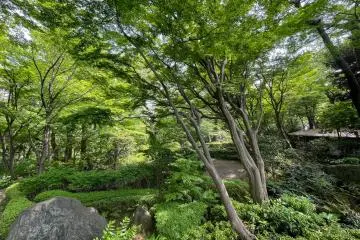 Four Picturesque Parks in Shinagawa