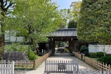 Gallery image