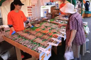 Echizen Fish Festival 2026