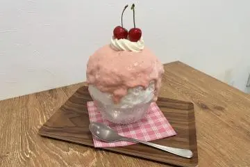 Refreshing Shaved Ice Spots in Shinagawa