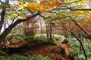 The fall colors (Photo: Matthew Shewchuk)