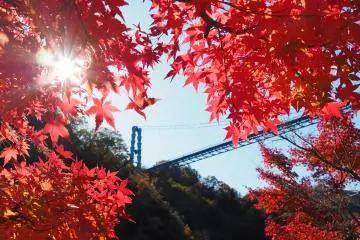 Ryujinkyo Autumn Foliage Festival 2026