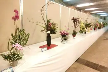 Okinawa International Orchid Show 2027