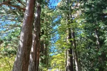 Komagane's Cedar Shrines