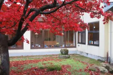 Gallery image