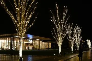 Ama Illuminations 2024-2025