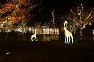 Photo: <a href="https://prtimes.jp/main/html/rd/p/000000221.000118013.html" target="_blank" rel="noreferrer noopener nofollow">Takatsuki City</a>