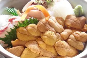 Sea urchin bowl with assorted seafood (Photo: Hagi City)