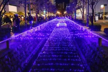 Hoshikawa Illumination 2026-2027