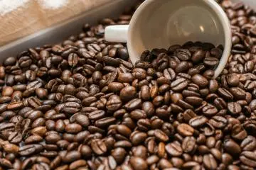 Yokosuka Coffee Festival 2026