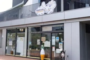 Gallery image