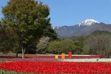 Spring Festa at Alps Azumino National Park 2026
