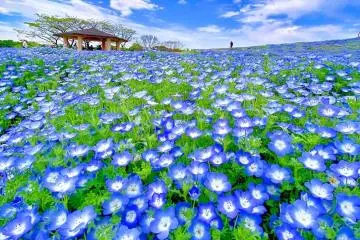 Photo: <a href="https://prtimes.jp/main/html/rd/p/000000401.000085653.html" target="_blank" rel="noreferrer noopener nofollow">Kyukamura</a>