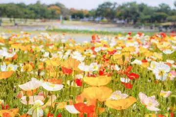 Photo: <a href="https://prtimes.jp/main/html/rd/p/000000401.000085653.html" target="_blank" rel="noreferrer noopener nofollow">Kyukamura</a>