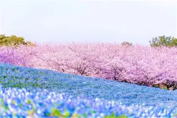 Photo: <a href="https://prtimes.jp/main/html/rd/p/000000401.000085653.html" target="_blank" rel="noreferrer noopener nofollow">Kyukamura</a>