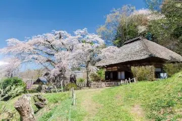 Takamori Kannon-do Sakura Festival 2027
