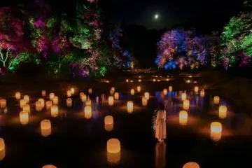 TeamLab: Hidden Traces of Rice Terraces