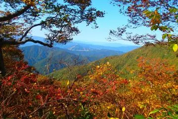 Fall colors about to change (Photo: Matthew Shewchuk)