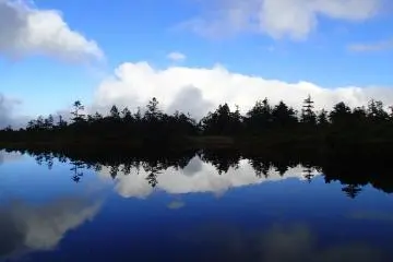 Reflections (Photo: Matthew Shewchuk)